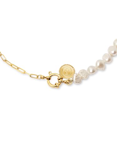 21pnuVhNYTL._SL500_.jpg