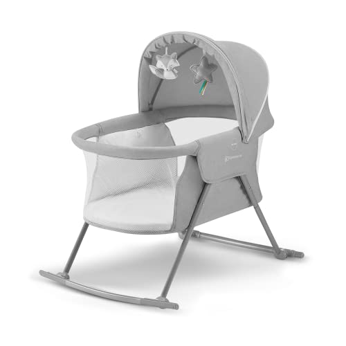 31zC38vM6L._SL500_.jpg
