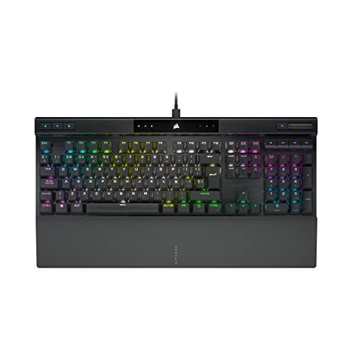 31kR4m9sY4L._SL500_.jpg