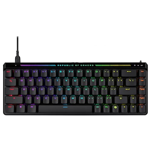 41KcRrvX38L._SL500_.jpg