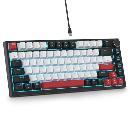41ae23fo1hL._SL500_.jpg